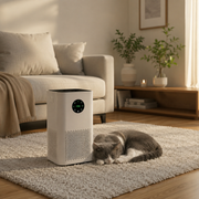 Purificateur humidificateur - usage chambre et salon